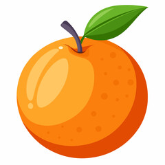 illustration of a tangerine fruit