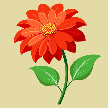 illustration of tithonia
