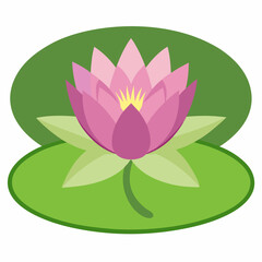 pink lotus flower