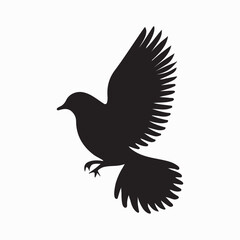 Bird Silhouette in Motion