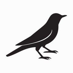 Bird Silhouette with Detailed Tail Feathers