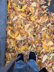 person in autumn park