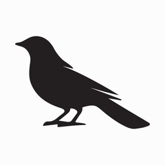 Bird Silhouette with Extended Wing Feathers