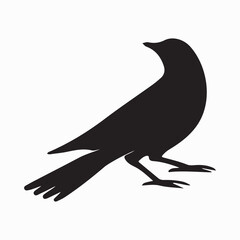 Bird Silhouette with Spread Wing Tips