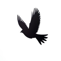 Obraz premium Black Silhouette Of A Bird In Flight