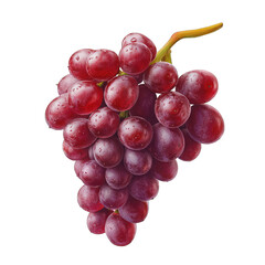 Fototapeta premium Fresh and Juicy Red Grapes Bunch with Water Droplets on Isolated Background for Healthy Eating and Nutrition