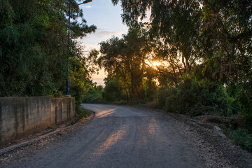 A mountainous dirt road overlooking the sea, a bumpy road with red soil amidst forest trees and blue sky facing the sea with sunset, wandering among the beautiful green nature in Jijel Algeria, Africa