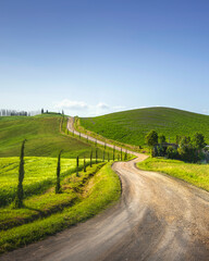 Obraz premium Monteroni d'Arbia, route of the via Francigena. Winding road. Siena, Tuscany. Italy