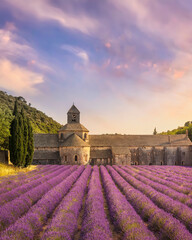 The Abbey of Senanque and the rows of lavender in bloom, panoramic view. Gordes, Vaucluse, Provence, France.