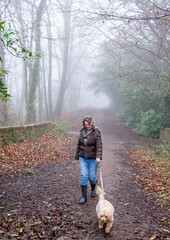 Fototapeta premium Dog walking. A lady walks a dog on a misty winters morning through a rural field landscape, shrouded in early morning mist. Cockapoo dog. Foggy day during winter, autumn and fall. 