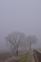 Fahrradweg in Ungarn im Winter, vertikal