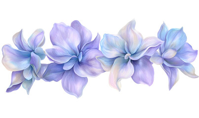 Pastel flower crown illustration, digital art, floral design, website header