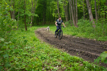 A man on a bicycle descends from the mountain. mountain bike