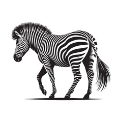 Unique zebra silhouette for creative project applications - Zebra illustration - minimallest zebra vector
