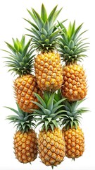 Stack of ripe tropical pineapples  -  A vertical stack of fresh, ripe pineapples with spiky green tops, highlighting their tropical sweetness, vibrant colors, and natural appeal.  
