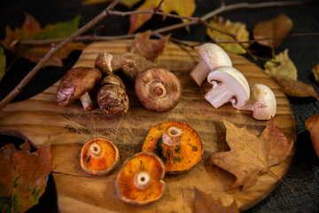 Bodegón de frutos secos, nueces, castañas, setas, hojas sobre encimera madera