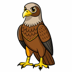 bird of prey