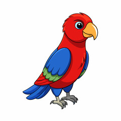 parrot on white background