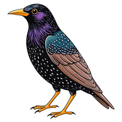 vector illustration of a bird