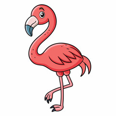 flamingo vector illustration