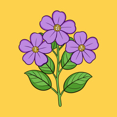 heliotrope flowers on a background