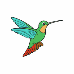 hummingbird in flight
