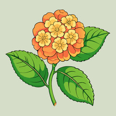 vector illustration of an orange flower