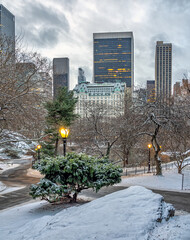 Central Park in winter , snowing early