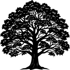 Obraz premium silhouette of tree
