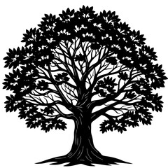 Fototapeta premium tree silhouette vector