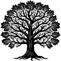 Obraz premium tree silhouette