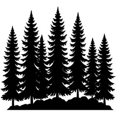 Obraz premium pine tree forest silhouette, 