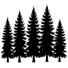 Fototapeta premium pine tree forest silhouette, 