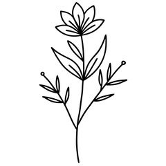 minimal botanical graphic sketch drawing, trendy tiny tattoo vector illustration