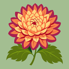 orange dahlia flower