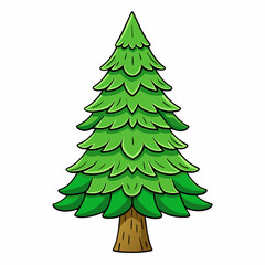 lodgepole pine tree vector illustration