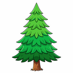 lodgepole pine tree vector illustration
