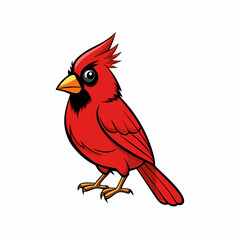 red cardinal bird