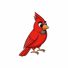 red cardinal bird
