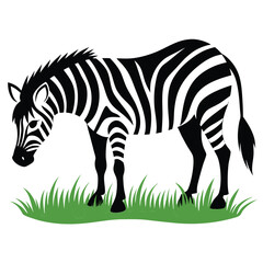 zebra with grass