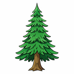 ponderosa pine tree isolated on white