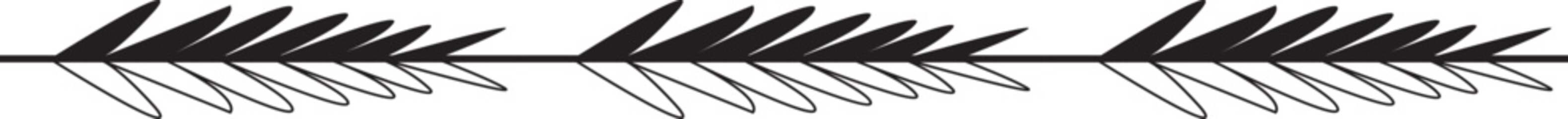 Decorative Line Border