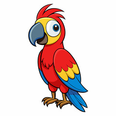 parrot on white background