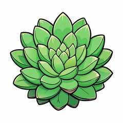 sedum vector