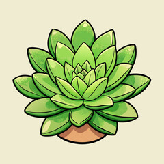 sedum vector