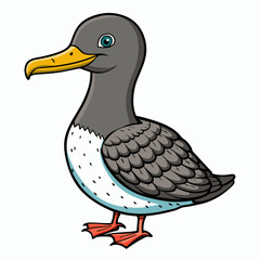 illustration of a sooty shearwater