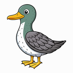 illustration of a sooty shearwater