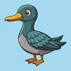 illustration of a sooty shearwater