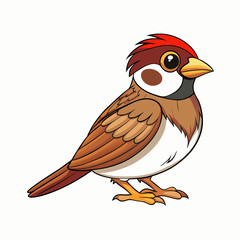 vector illustration of a sparrow bird