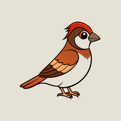 vector illustration of a sparrow bird